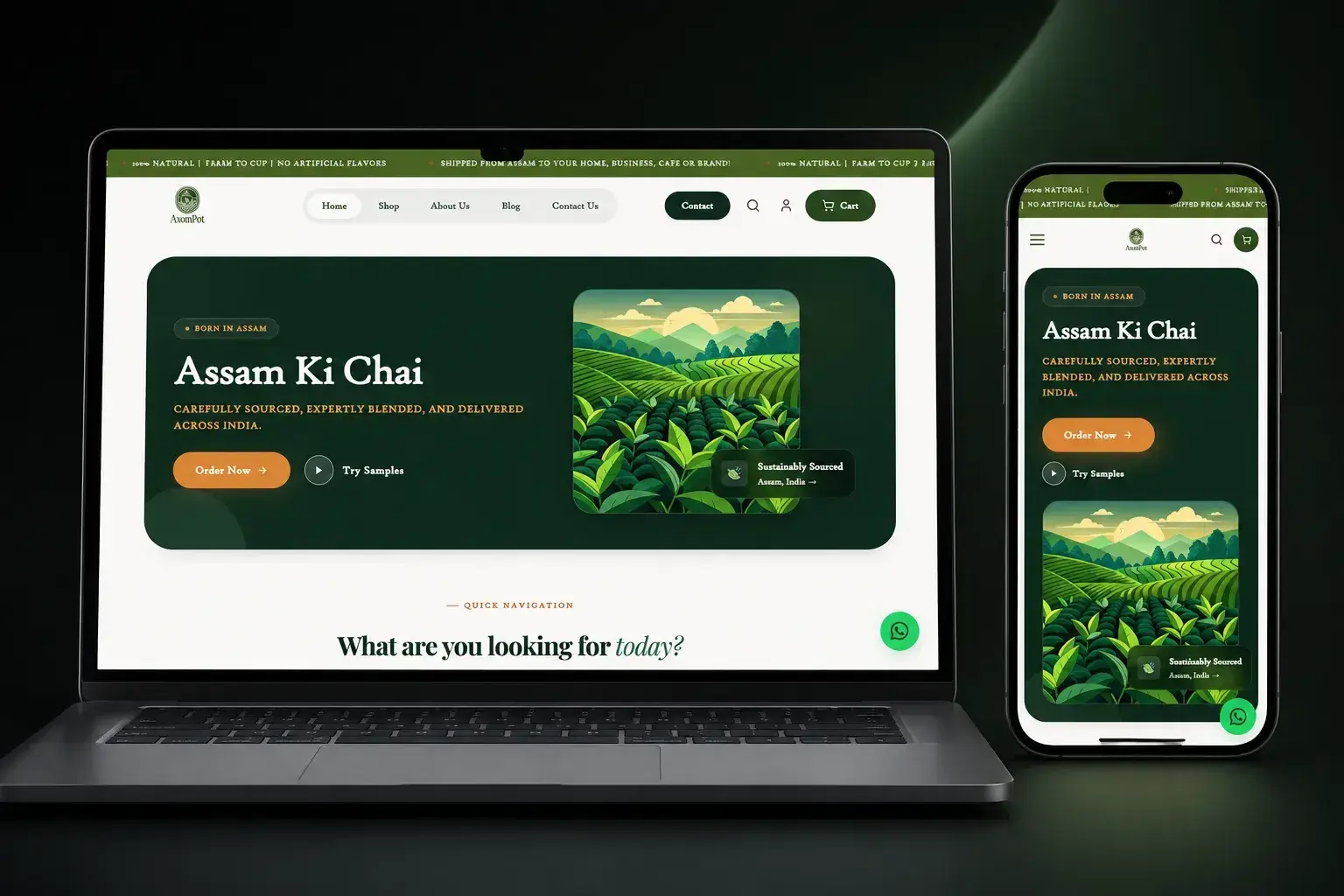 AxomPot: Engineering a Custom Live Tea Auction Bidding Portal & Management Engine